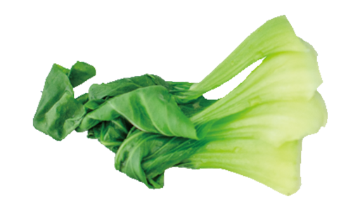 Pak-Choi